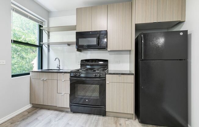 Studio, 1 bath, 242 sqft, $1,550, Unit 203