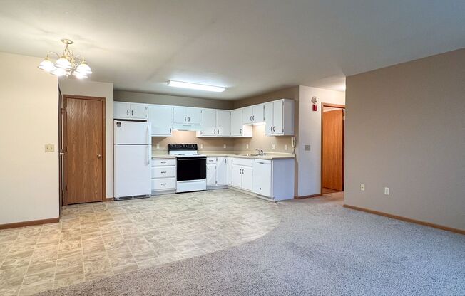 1 bed, 1 bath, 547 sqft, $875, Unit WE 1000 RL-13
