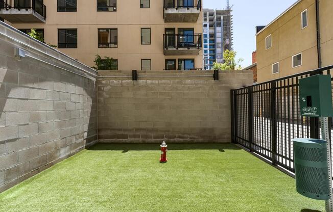 Our on-site dog park at Modera Golden Triangle is the perfect place for your furry friend to play and socialize.