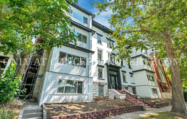 1 bed, 1 bath, 325 sqft, $1,299, Unit 1E