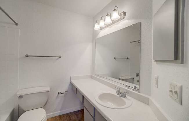 a bathroom with a sink and a toilet and a mirror