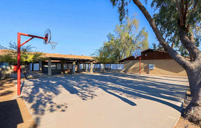 A basketball court with a red hoop and a tree in the foreground.