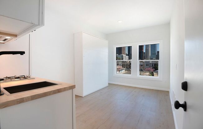 Studio, 1 bath, 214 sqft, $1,250, Unit 220