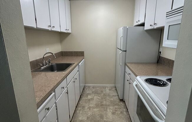 1 bed, 1 bath, 528 sqft, $1,350, Unit 208