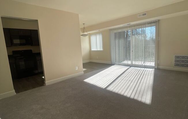 1 bed, 1 bath, 745 sqft, $1,900, Unit 14235 #203