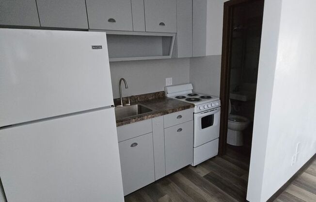 Studio, 1 bath, $550, Unit 125