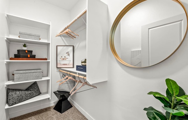 A white closet with a mirror and a plant.