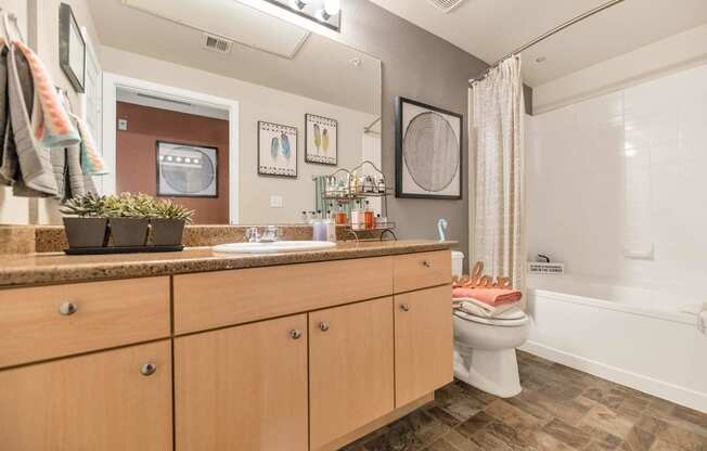 a bathroom with a sink and a toilet