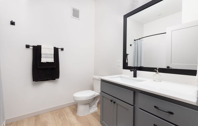 Studio, 1 bath, 410 sqft, $1,295, Unit 219
