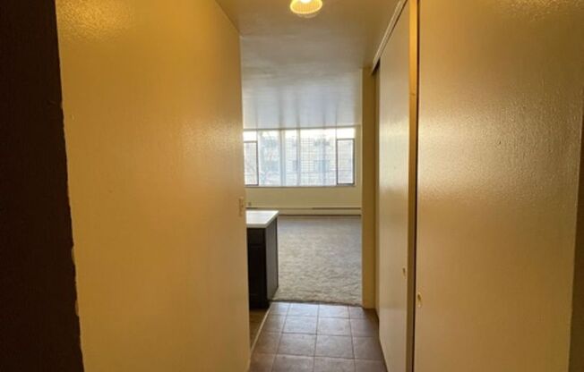 Studio, 1 bath, 360 sqft, $1,050, Unit 309