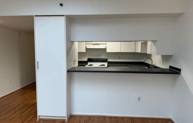 1 bed, 1 bath, 491 sqft, $1,250, Unit 604