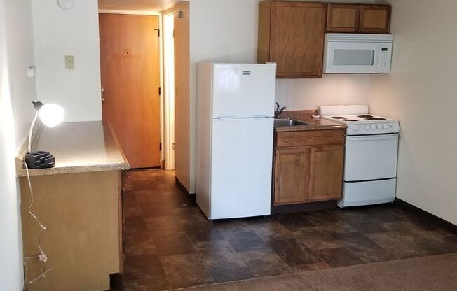 Studio, 1 bath, 350 sqft, $995, Unit 135-105