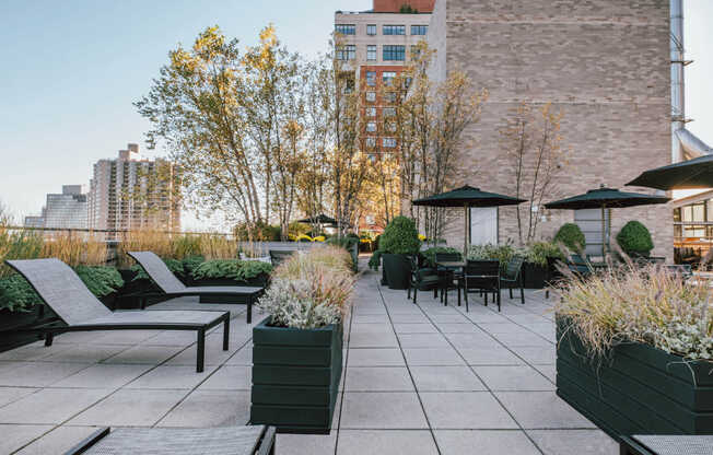 Landscaped Rooftop Deck