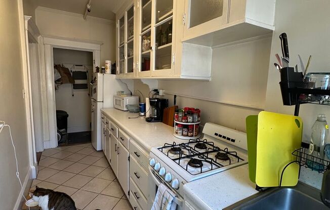 Studio, 1 bath, 525 sqft, $1,925, Unit 303