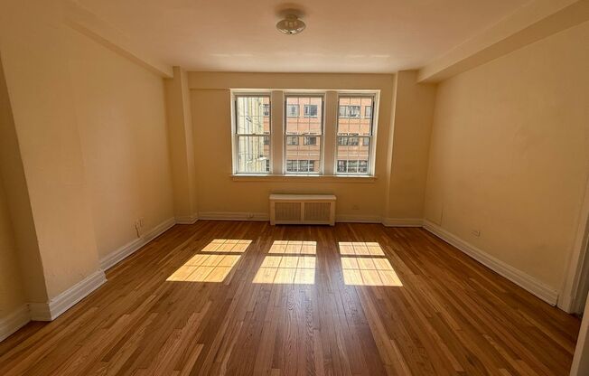 Studio, 1 bath, 294 sqft, $1,365, Unit New King Edward  3A3