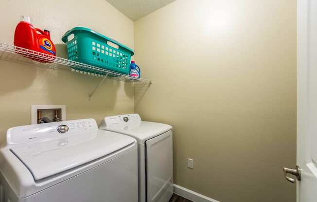 Laundry Room at The Oasis at 301 Luxury Apartment Homes, Florida, 33578