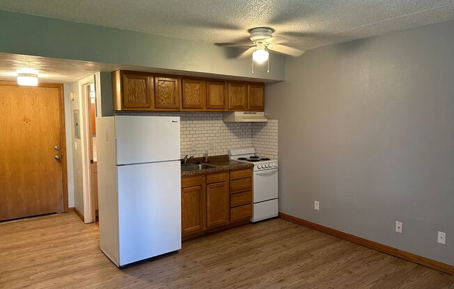 Studio, 1 bath, 400 sqft, $900, Unit Unit B4