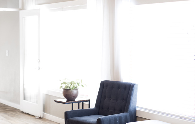 blue chair and plant in front of two large windows with white curtains