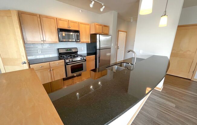 1 bed, 1 bath, 800 sqft, $1,595, Unit 309