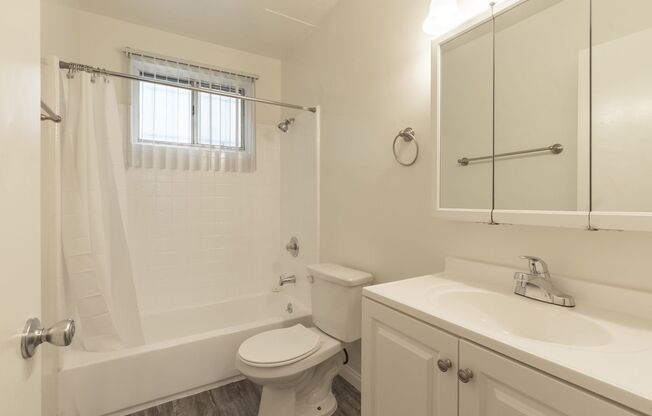 Studio, 1 bath, $1,595