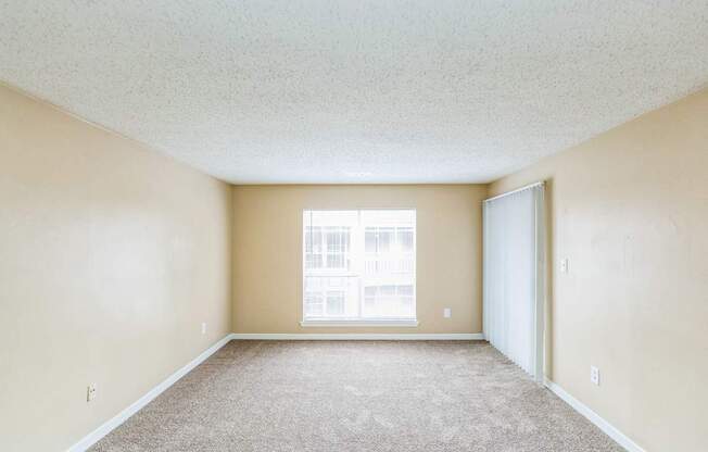 Empty room with carpeted floor and a window.