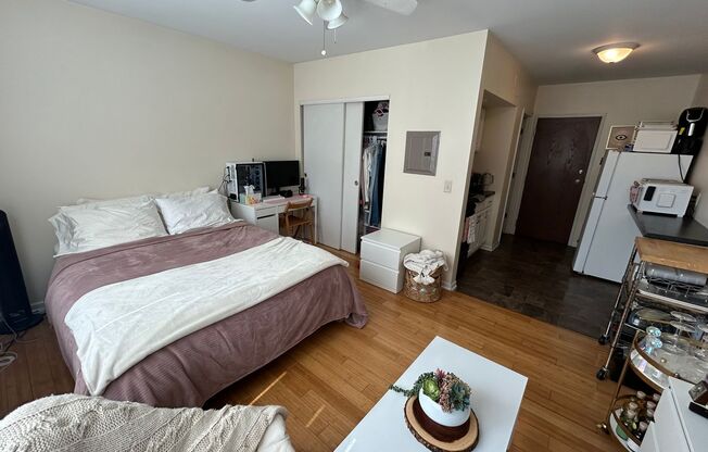 Studio, 1 bath, $750, Unit 213