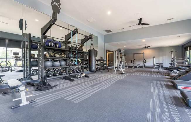 A spacious gym with a variety of equipment including a squat rack, bench, and weights.
