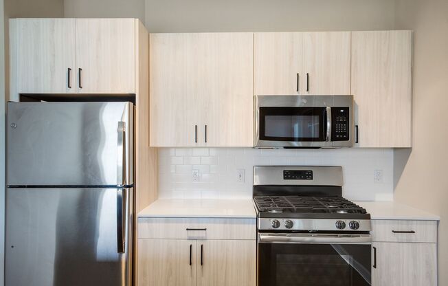 Two Bedroom Luxury Apartment (Elevator Building)