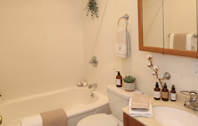 Studio, 1 bath, $1,195, Unit C-303