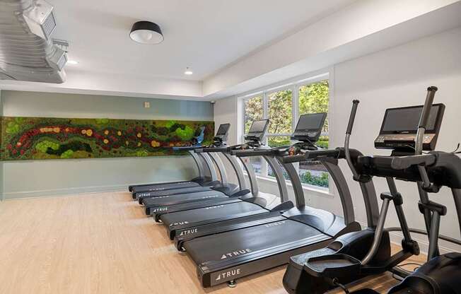 A row of treadmills in a gym with a mural of a garden on the wall.