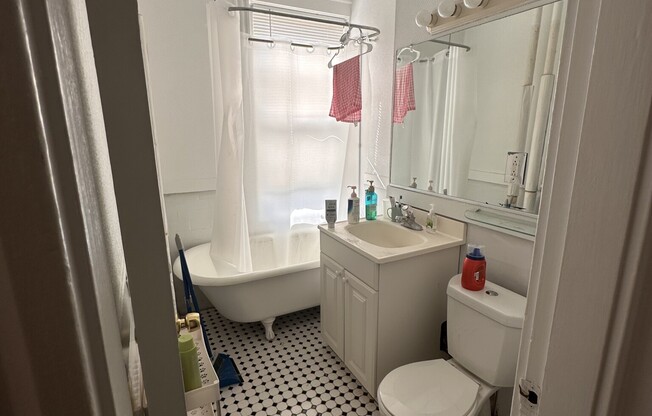 Studio, 1 bath, 320 sqft, $2,375, Unit 20