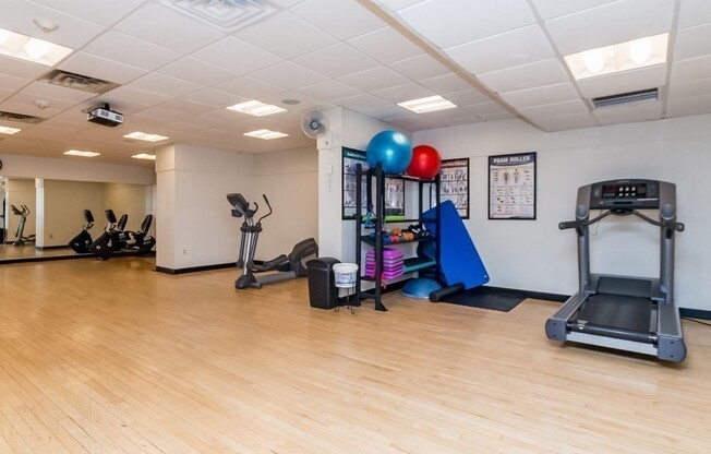 1 bed, 1 bath, 500 sqft, $2,550, Unit 309