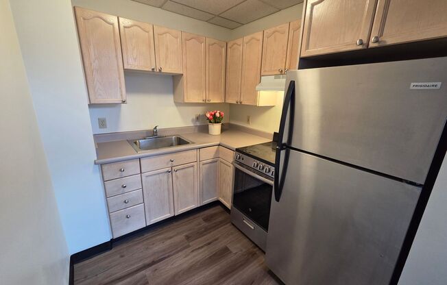 1 bed, 1 bath, 447 sqft, $1,590, Unit 509