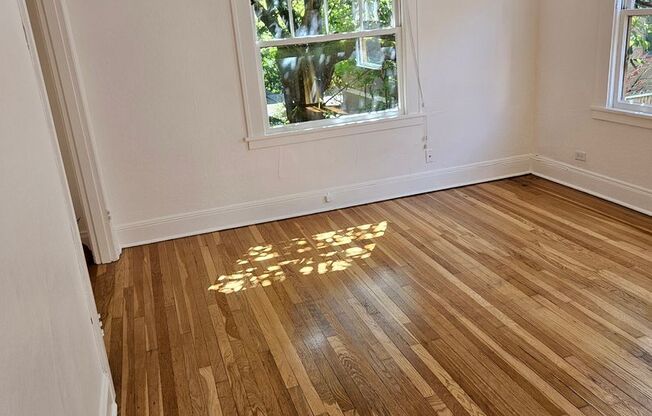 Studio, 1 bath, 337 sqft, $1,249, Unit 29