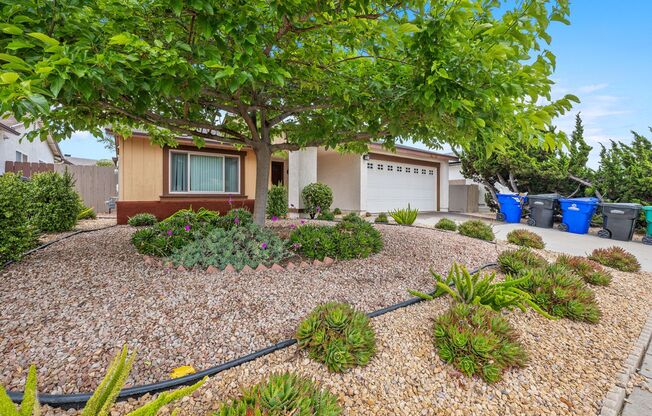 Single Family House One Level