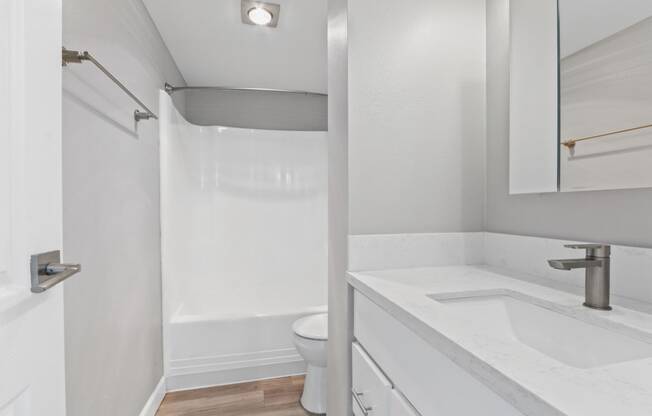 a bathroom with a sink and a toilet and a shower