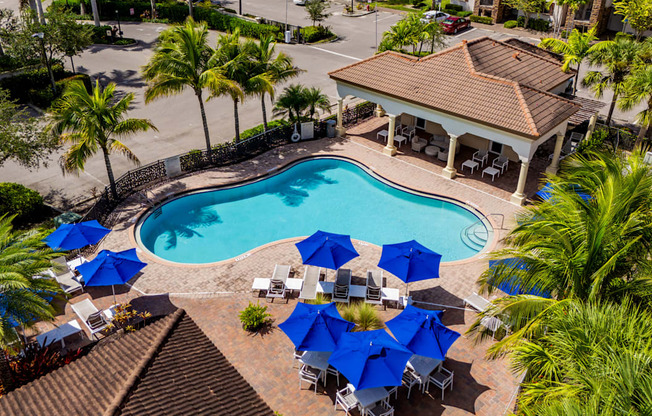 A pool surrounded by blue umbrellas and palm trees.