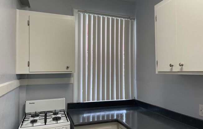 Studio, 1 bath, 240 sqft, $1,255, Unit 102