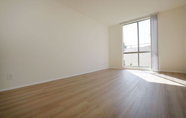 1 bed, 1 bath, 650 sqft, $2,599, Unit 202