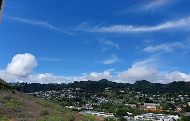 Perched on the slopes of Punchbowl - ocean and mountain views - fireworks on Friday!