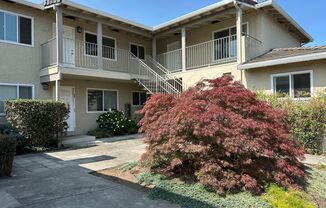 1239 Valerian Court
