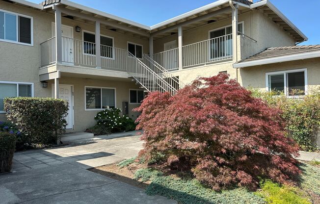 1239 Valerian Court