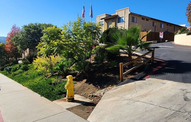 1 bed, 1 bath, 720 sqft, $1,850, Unit 36