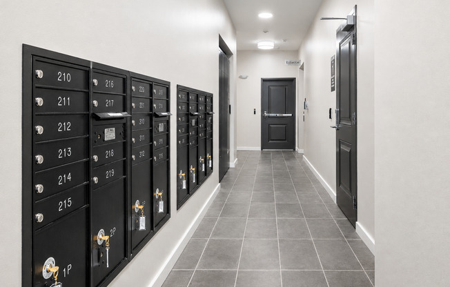 1 bed, 1 bath, 559 sqft, $2,675, Unit 417