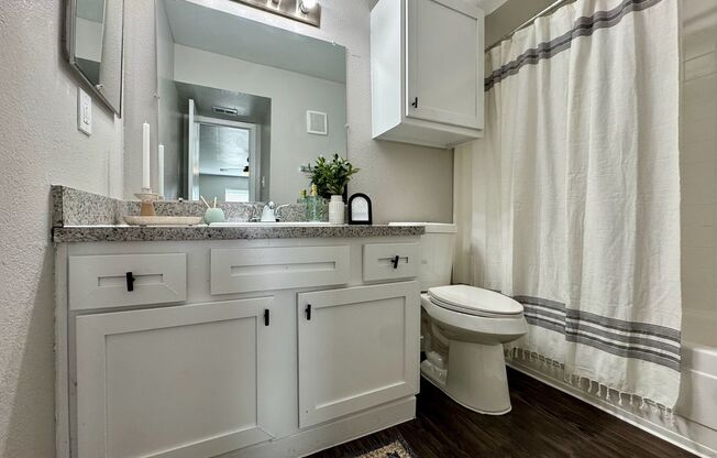 2 beds, 2 baths, 1,006 sqft, $995, Unit 100