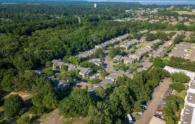 Pear Orchard Aerial