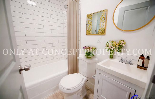 Studio, 1 bath, 251 sqft, $1,025, Unit 4D
