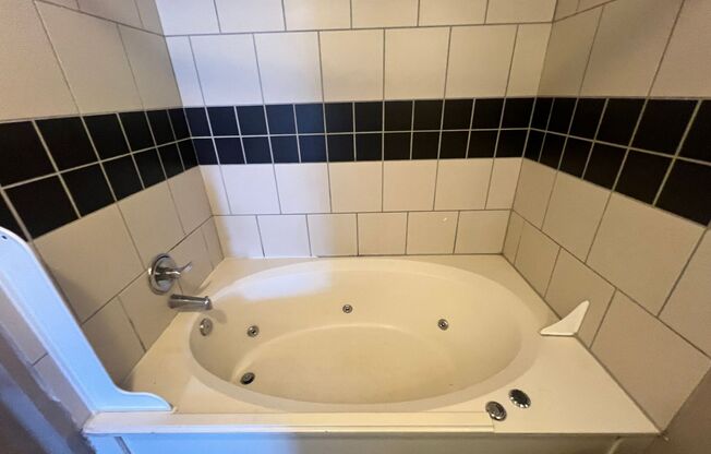 Studio, 1 bath, $1,029, Unit 3B