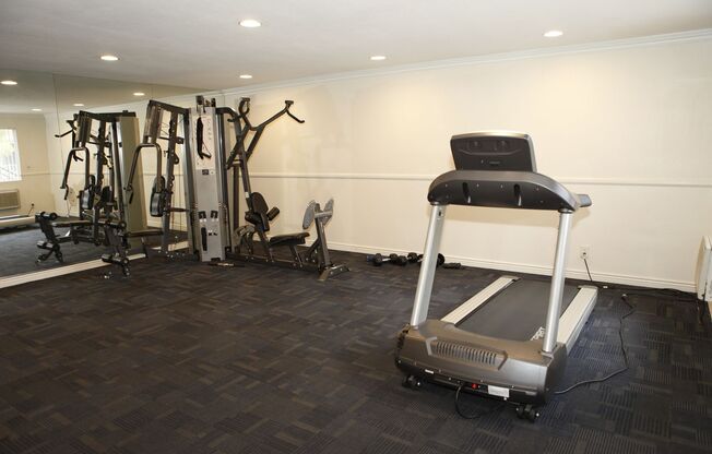 1 bed, 1 bath, 725 sqft, $1,825, Unit 116