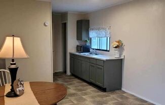 Studio, 1 bath, $600, Unit S13A